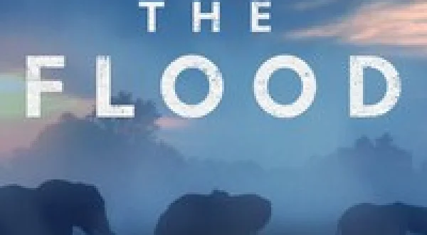 The Flood