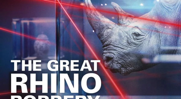 The Great Rhino Robbery