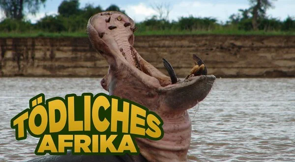 Tödliches Afrika