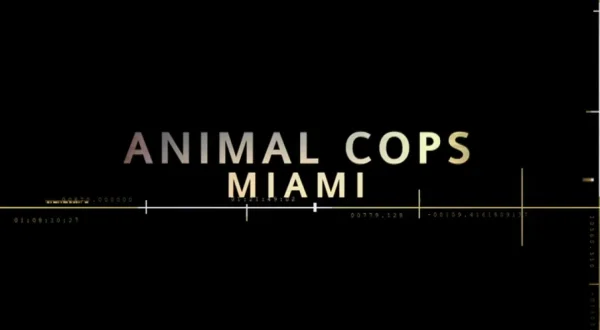 Animal Cops Miami
