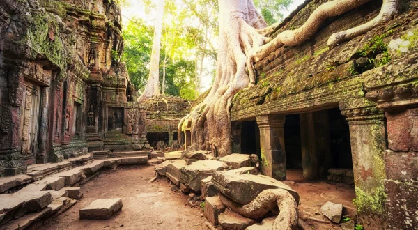 Expedition Unknown – Mythen auf der Spur