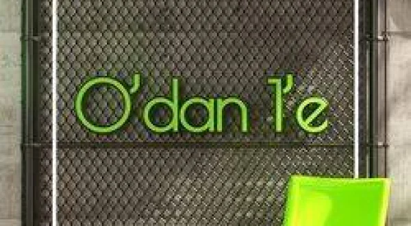 0'dan 1'e