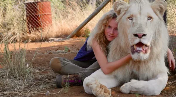 Mia et le lion blanc