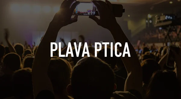 Plava ptica