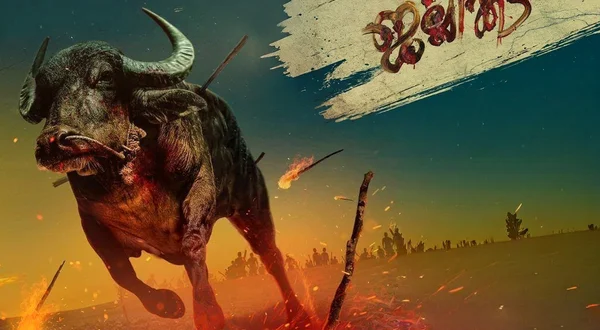 Jallikattu