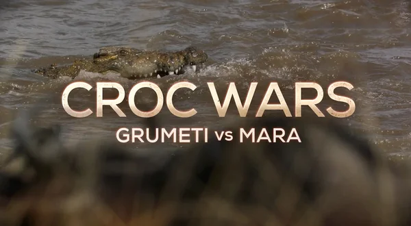 Croc Wars: Grumeti Vs Mara