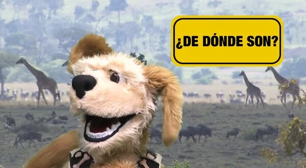 ¿De dónde son?