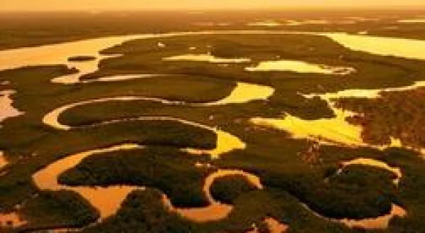 Blue Carbon - Le super-pouvoir de la nature