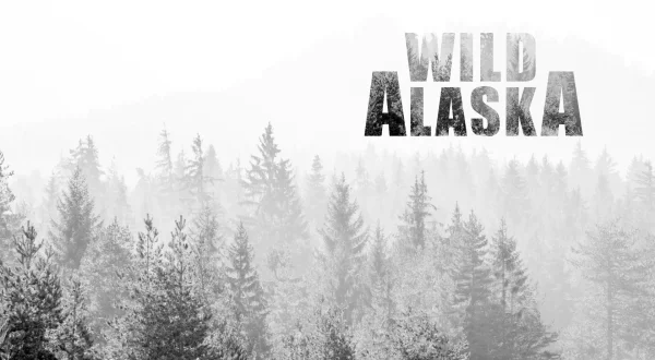 Ville Alaska