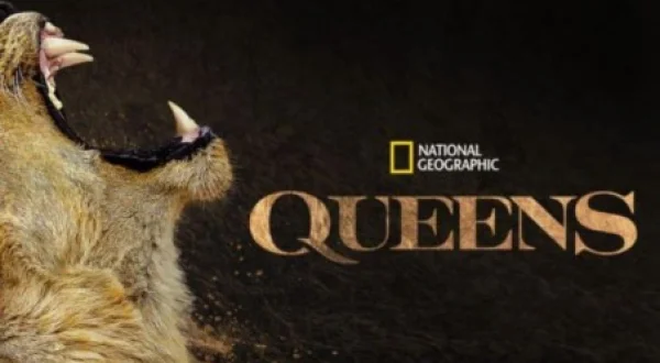 Queens