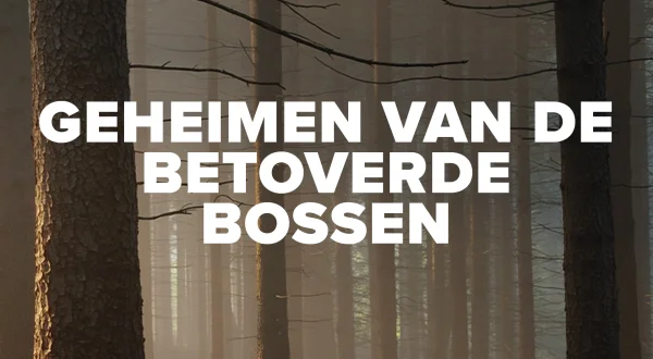 Geheimen van de Betoverde Bossen