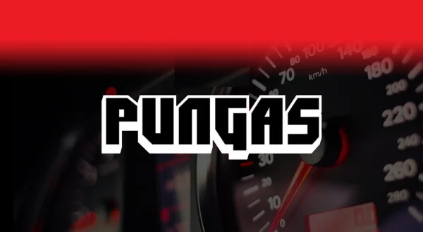 Pun gas