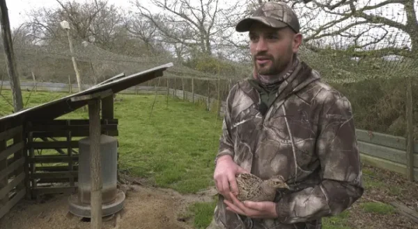 Un petit coin des Landes, au rythme de la chasse