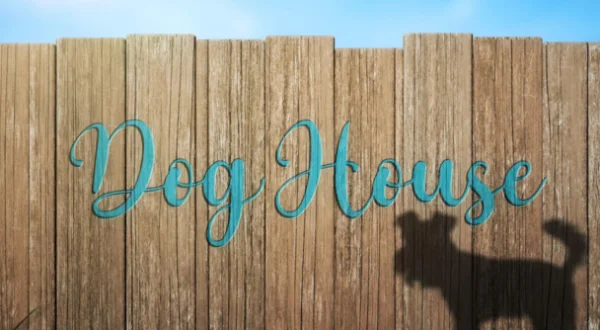 Dog House