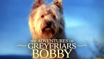 Greyfriars Bobby