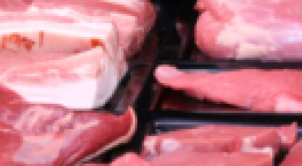 Meat Timon