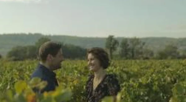 Nos jours d'été