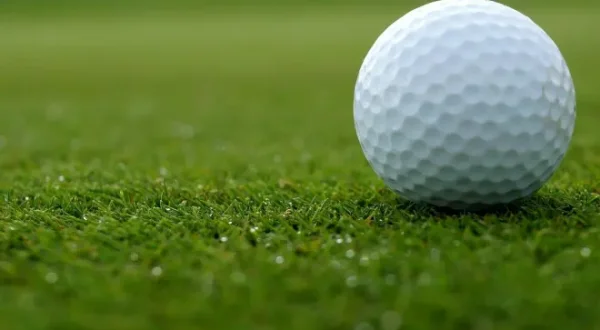 DP World Tour: Genesis Championship, jour 4