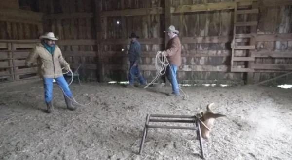 Lake Ranch: Italian Cowboys