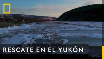 Rescate en el Yukón