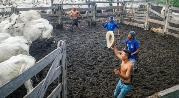Abenteuer Brasilien - Ein Land wie ein Kontinent