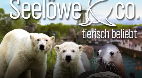 Seelöwe & Co. - tierisch beliebt