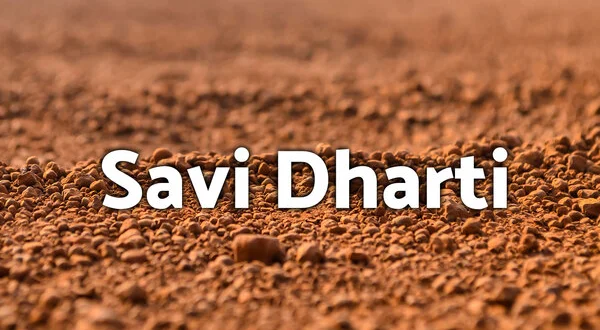 Savi Dharti