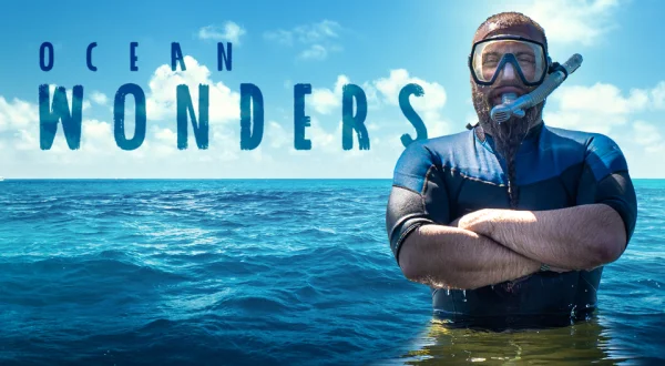 Ocean Wonders