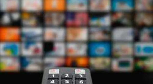 Program Tekrarları