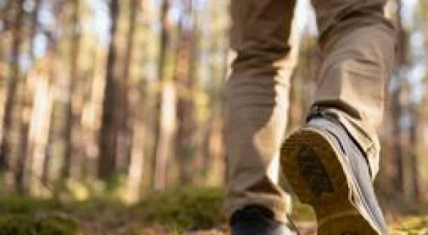 Best of Weatherman Walking: Northern Nostalgia