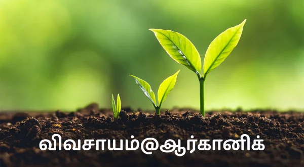 వ్యవసాయం ఎట్ ఆర్గానిక్