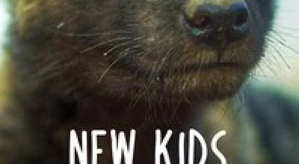 New Kids in the Wild