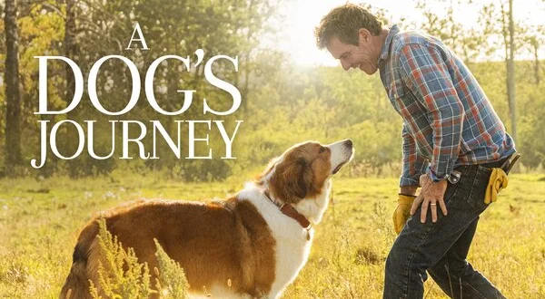 A Dog's Journey