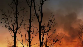 Ideas to Protect Ourselves from Disasters