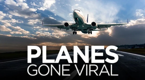 Virale fly