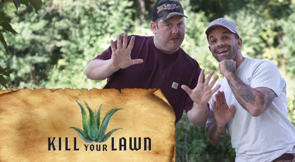 Kill Your Lawn