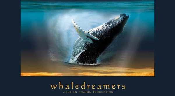 Whaledreamers