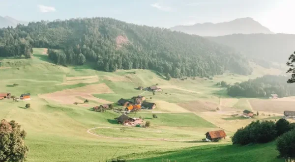 Tele Napf / Tele Zentralschweiz