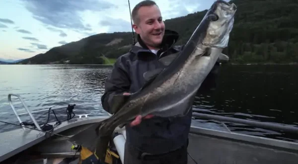 Norwegen Midnight Popping Madness
