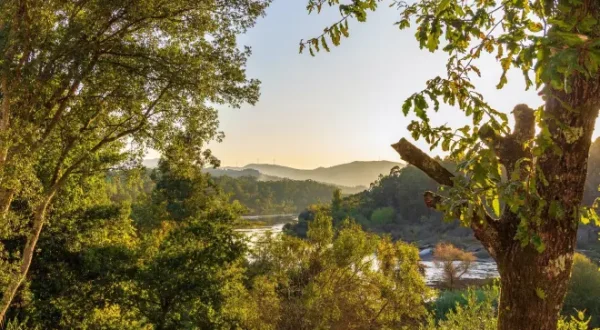 Lembrando a Galicia