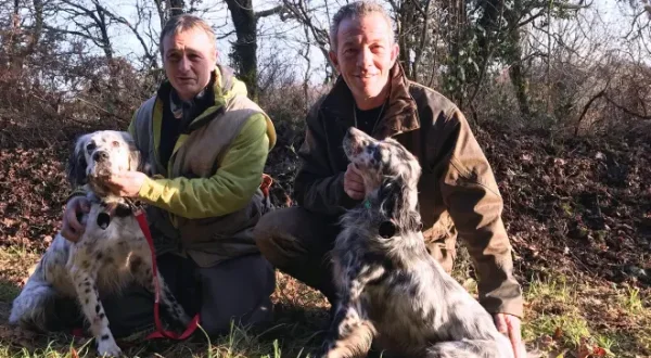 Itinéraire d'un chien bécassier