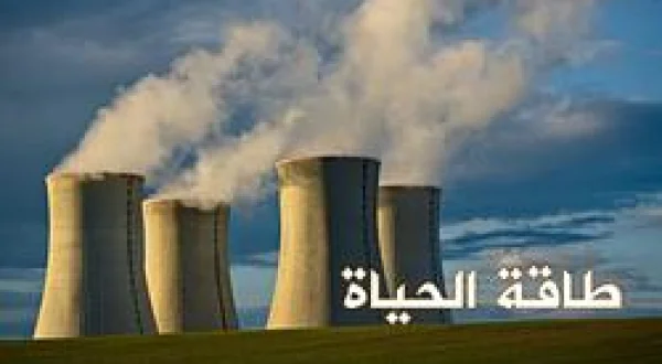 Energy Of Life