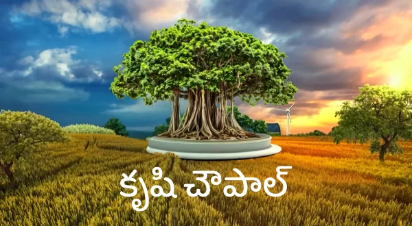 कृषि चौपाल