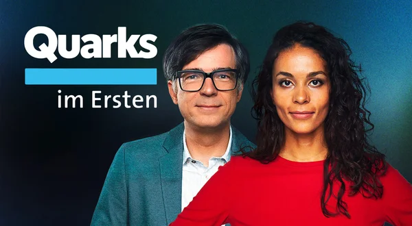 Quarks im Ersten