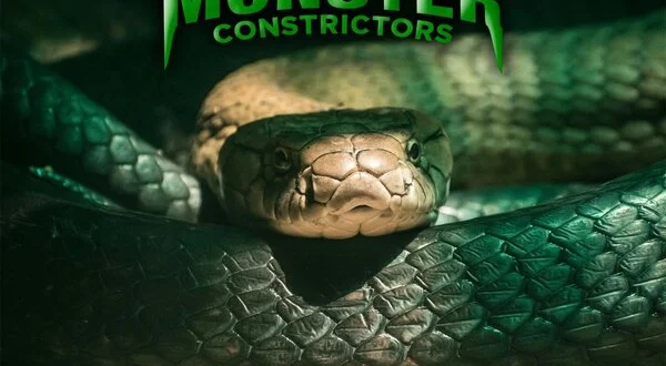Monster Constrictors