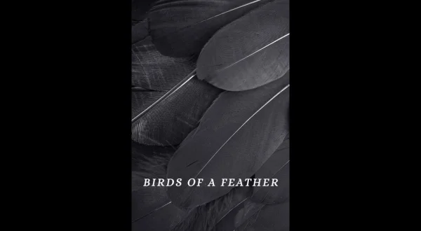 Birds of a Feather