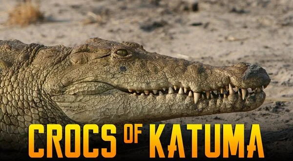 Crocs of Katuma