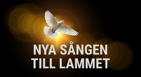 Nya sången till Lammet