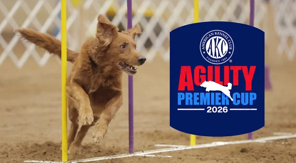 2026 AKC Agility Premier Cup