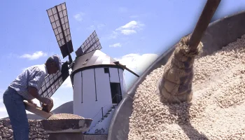 El gofio. Elaboración tradicional de este alimento y su molienda con un molino de viento